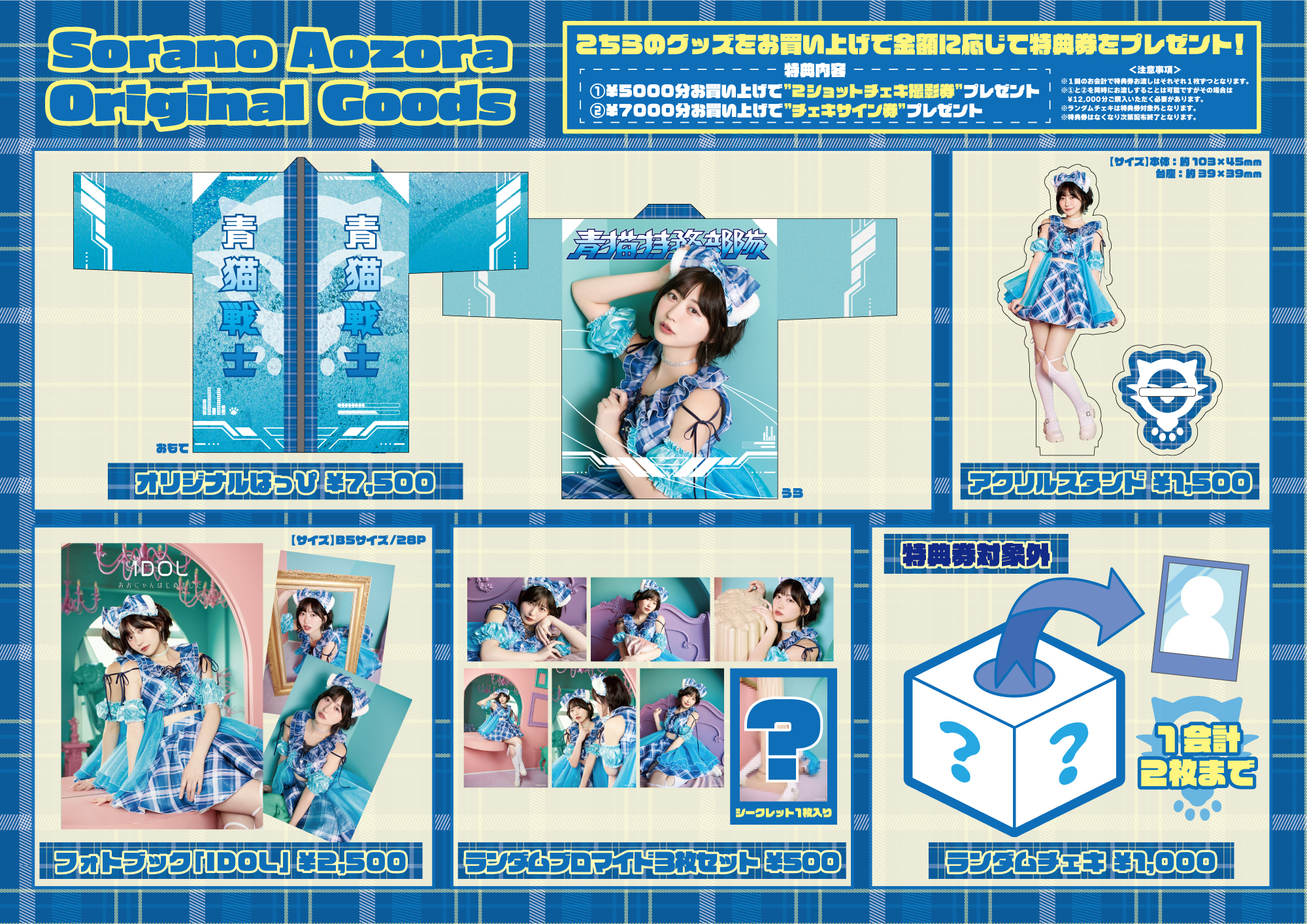 10/9(月・祝)空野青空Lv.UP記念ワンマンライブ「こいつぁ生まれながら